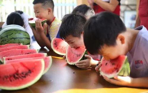 沙河乐园吃瓜事件视频,一场引发热议的美食纠纷