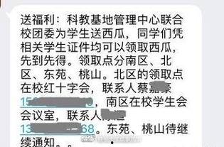 校园表白全校吃瓜,一场别开生面的校园表白盛宴