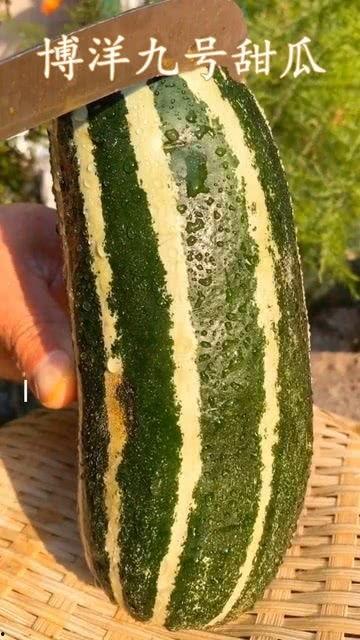 带你吃瓜的全集,全集揭秘娱乐圈那些事儿