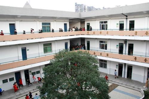 铜陵师范小学吃瓜,揭秘校园食品安全风波