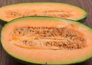 哈密瓜爷爷吃哈密瓜,哈密瓜爷爷的甜蜜食旅