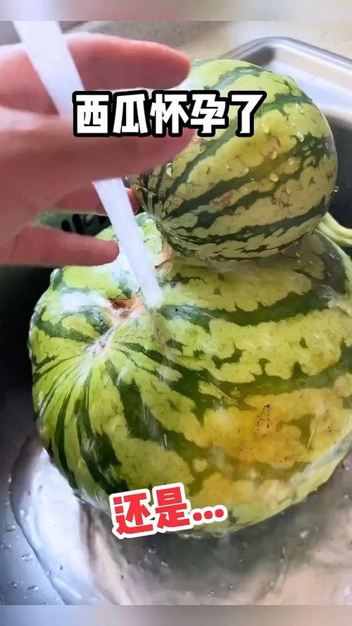 吃瓜视频搞笑吃瓜