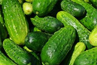 孕妇梦见吃京瓜,京瓜之谜，孕育生命的甜蜜预兆