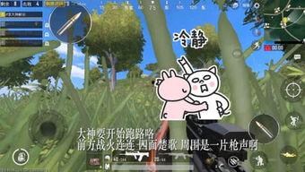 带呆瓜吃鸡,一场欢乐的生存之旅