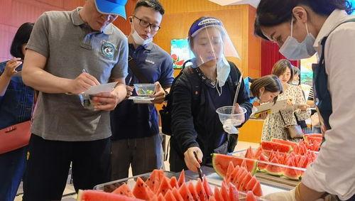 沪上阿姨吃瓜,揭秘娱乐圈幕后真相