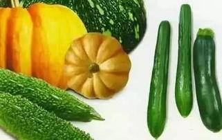 忆江南吃瓜,瓜果飘香，品味夏日风情