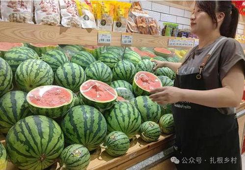 销售吃瓜王,揭秘销售界的瓜田传奇