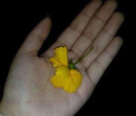 关于吃瓜的素材视频大全,全网热门吃瓜素材视频大盘点